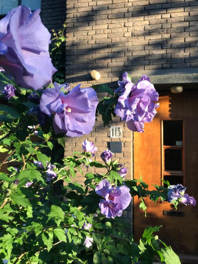 Eikenburg B&B Eindhoven Dış mekan fotoğraf