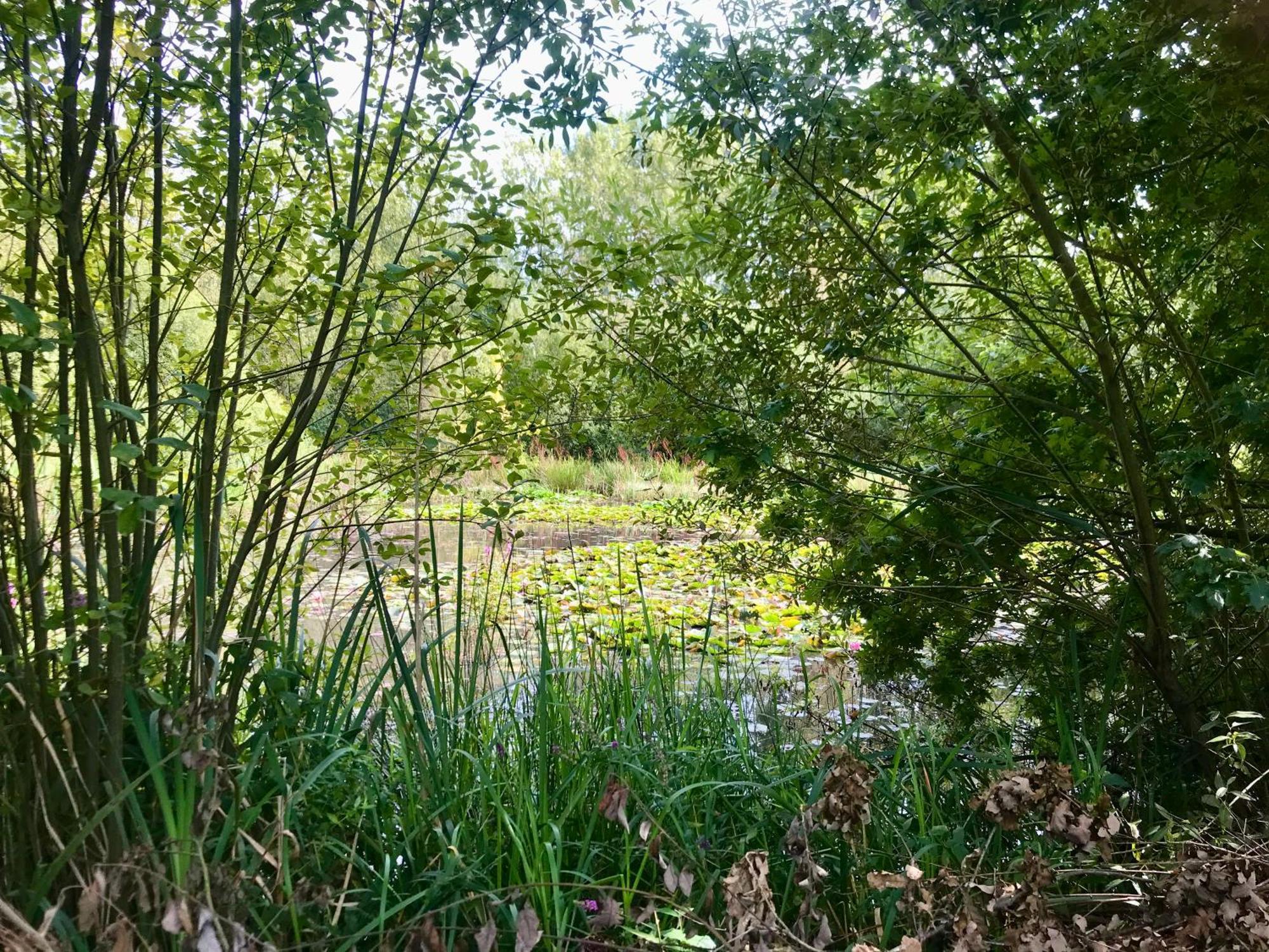 Eikenburg B&B Eindhoven Dış mekan fotoğraf